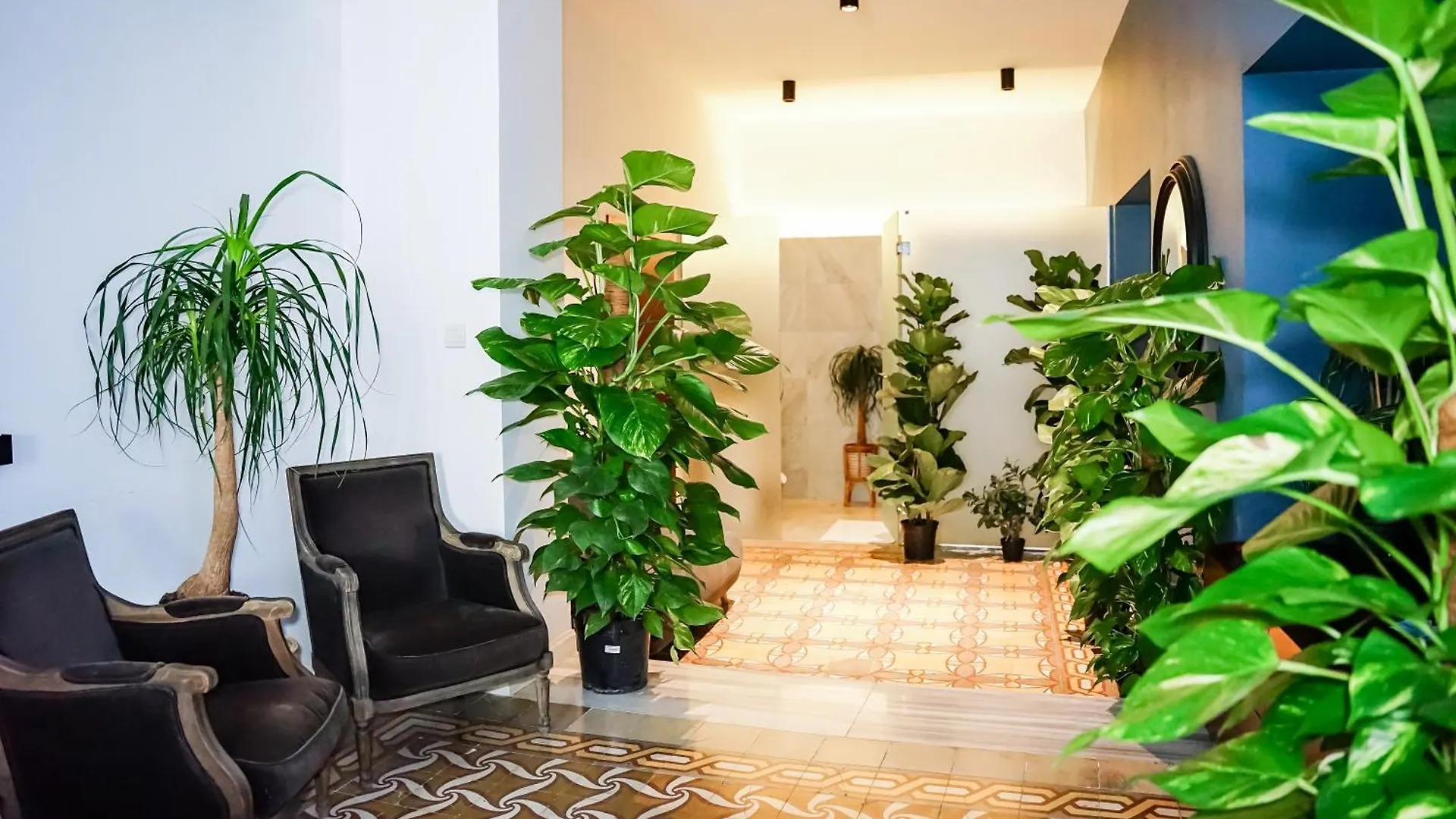 Valhalla Boutique Hotel Valletta