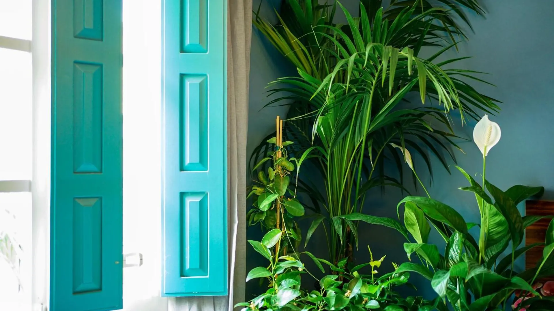 Valhalla Boutique Hotel Valletta